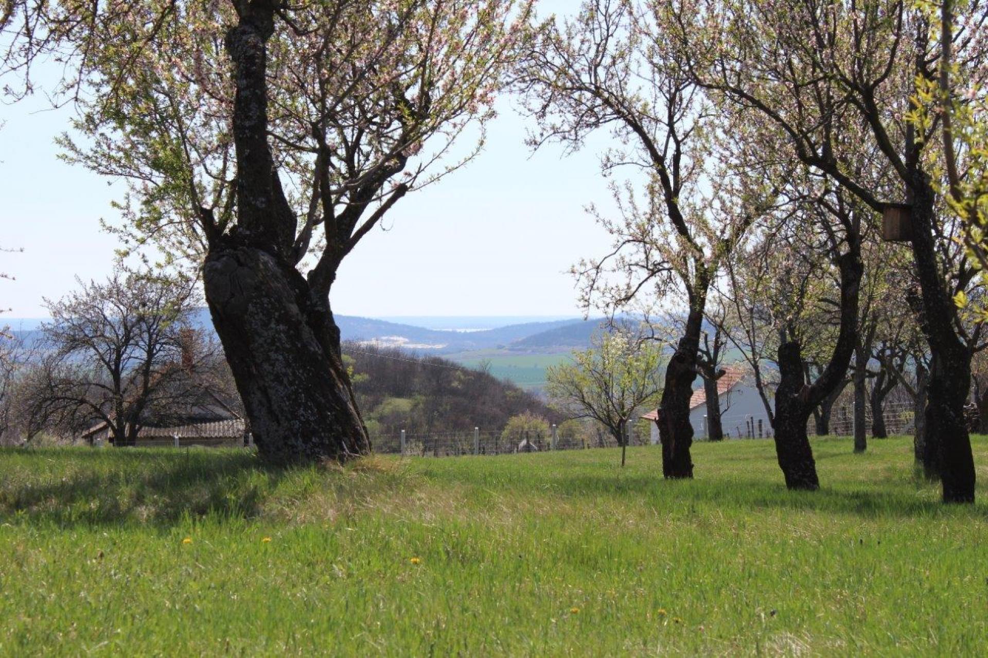 img-0765.jpg